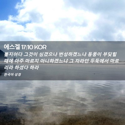 Picture 02 - 에스겔 17:10 KOR - 볼지어다 그것이 심겼으나 - Bible Verse Picture