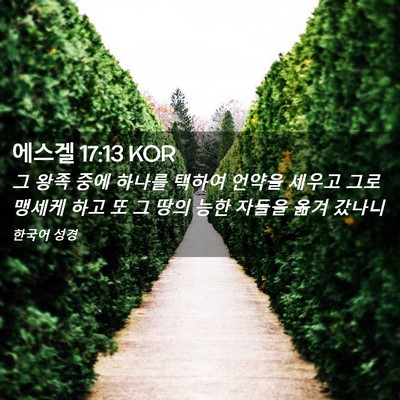 Picture 02 - 에스겔 17:13 KOR - 그 왕족 중에 하나를 택하여 언약을 - Bible Verse Picture