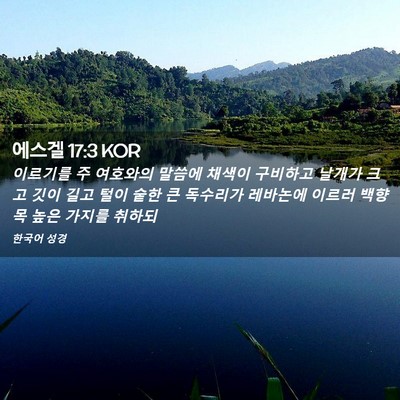 Picture 02 - 에스겔 17:3 KOR - 이르기를 주 여호와의 말씀에 채색이 - Bible Verse Picture