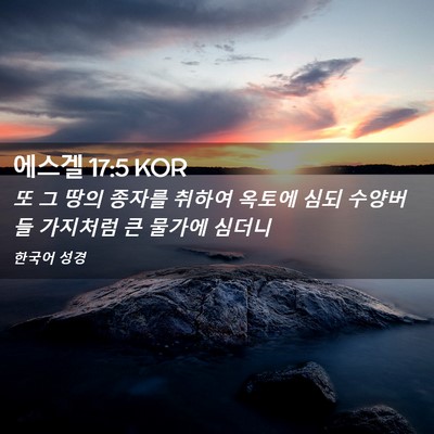 Picture 02 - 에스겔 17:5 KOR - 또 그 땅의 종자를 취하여 옥토에 - Bible Verse Picture