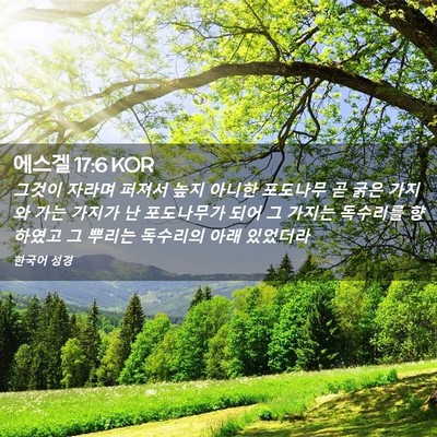 Picture 02 - 에스겔 17:6 KOR - 그것이 자라며 퍼져서 높지 아니한 - Bible Verse Picture