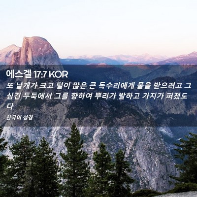 Picture 02 - 에스겔 17:7 KOR - 또 날개가 크고 털이 많은 큰 - Bible Verse Picture