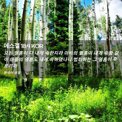 Picture 02 - 에스겔 18:4 KOR - 모든 영혼이 다 내게 속한지라 - Bible Verse Picture