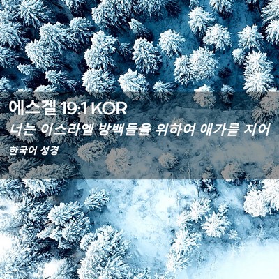 Picture 02 - 에스겔 19:1 KOR - 너는 이스라엘 방백들을 위하여 - Bible Verse Picture
