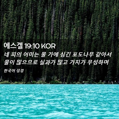Picture 02 - 에스겔 19:10 KOR - 네 피의 어미는 물 가에 심긴 - Bible Verse Picture