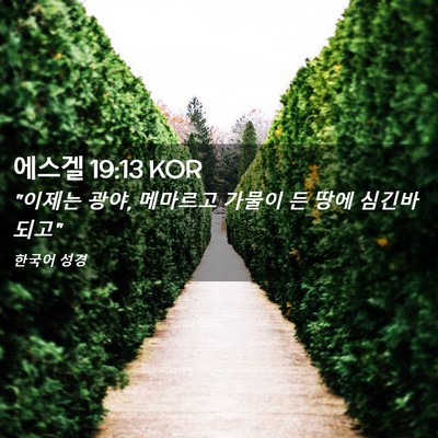 Picture 02 - 에스겔 19:13 KOR - 