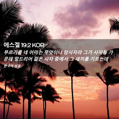 Picture 02 - 에스겔 19:2 KOR - 부르기를 네 어미는 무엇이냐 - Bible Verse Picture