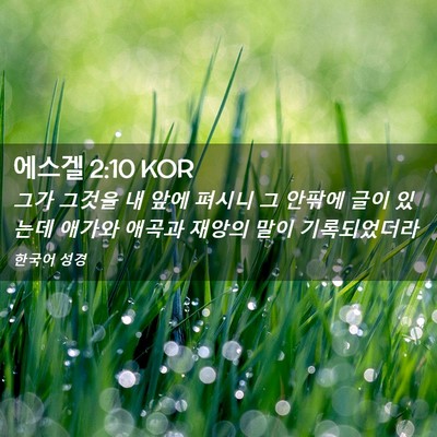 Picture 02 - 에스겔 2:10 KOR - 그가 그것을 내 앞에 펴시니 그 - Bible Verse Picture