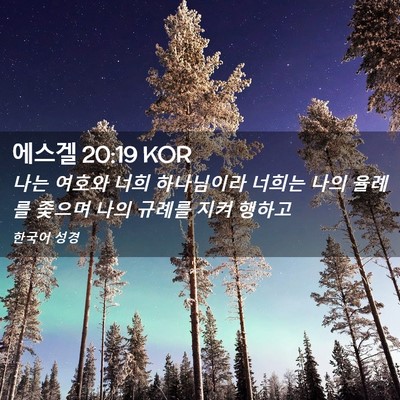 Picture 02 - 에스겔 20:19 KOR - 나는 여호와 너희 하나님이라 너희는 - Bible Verse Picture