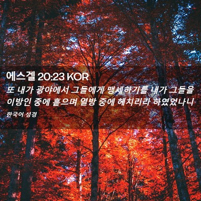 Picture 02 - 에스겔 20:23 KOR - 또 내가 광야에서 그들에게 - Bible Verse Picture