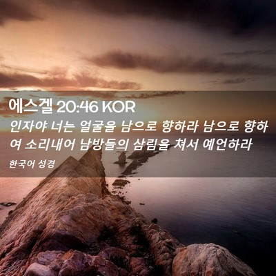 Picture 02 - 에스겔 20:46 KOR - 인자야 너는 얼굴을 남으로 향하라 - Bible Verse Picture