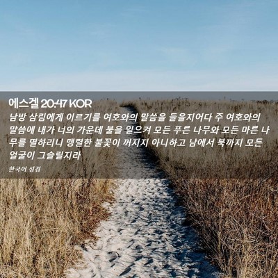 Picture 02 - 에스겔 20:47 KOR - 남방 삼림에게 이르기를 여호와의 - Bible Verse Picture