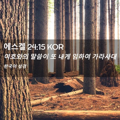 Picture 02 - 에스겔 24:15 KOR - 여호와의 말씀이 또 내게 임하여 - Bible Verse Picture
