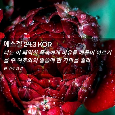 Picture 02 - 에스겔 24:3 KOR - 너는 이 패역한 족속에게 비유를 - Bible Verse Picture