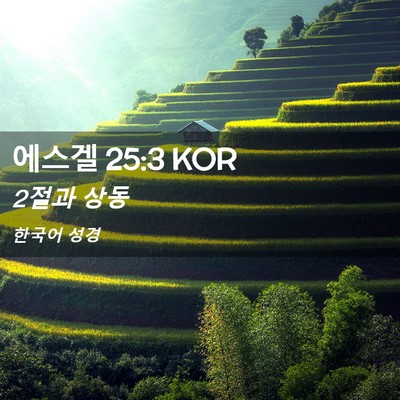 Picture 02 - 에스겔 25:3 KOR - 2절과 - Bible Verse Picture