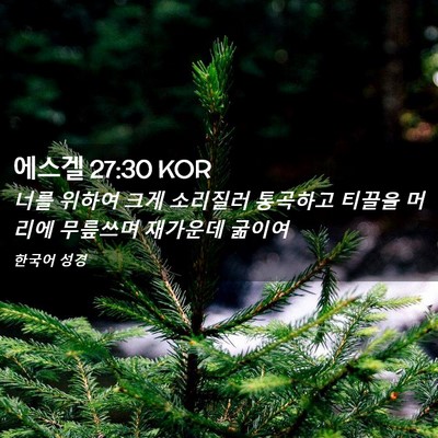 Picture 02 - 에스겔 27:30 KOR - 너를 위하여 크게 소리질러 통곡하고 - Bible Verse Picture