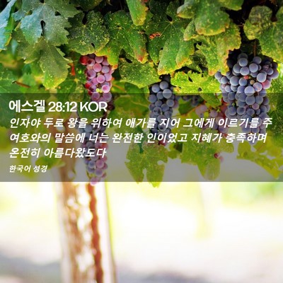 Picture 02 - 에스겔 28:12 KOR - 인자야 두로 왕을 위하여 애가를 - Bible Verse Picture