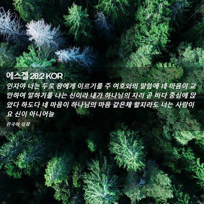 Picture 02 - 에스겔 28:2 KOR - 인자야 너는 두로 왕에게 이르기를 - Bible Verse Picture