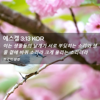 Picture 02 - 에스겔 3:13 KOR - 이는 생물들의 날개가 서로 부딪히는 - Bible Verse Picture
