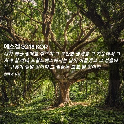 Picture 02 - 에스겔 30:18 KOR - 내가 애굽 멍에를 꺾으며 그 교만한 - Bible Verse Picture