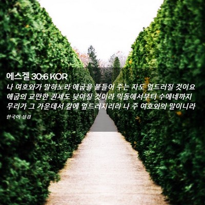 Picture 02 - 에스겔 30:6 KOR - 나 여호와가 말하노라 애굽을 붙들어 - Bible Verse Picture