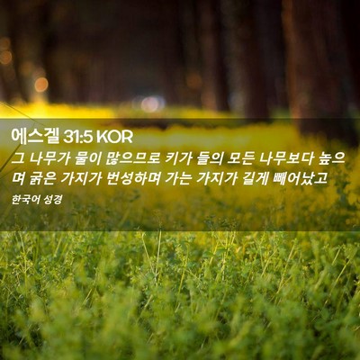 Picture 02 - 에스겔 31:5 KOR - 그 나무가 물이 많으므로 키가 들의 - Bible Verse Picture