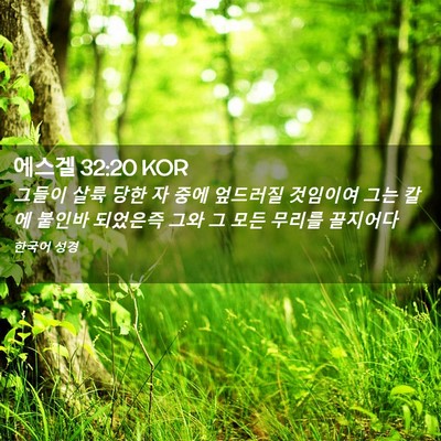 Picture 02 - 에스겔 32:20 KOR - 그들이 살륙 당한 자 중에 엎드러질 - Bible Verse Picture