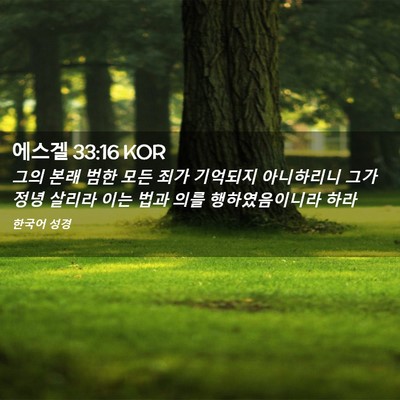 Picture 02 - 에스겔 33:16 KOR - 그의 본래 범한 모든 죄가 기억되지 - Bible Verse Picture