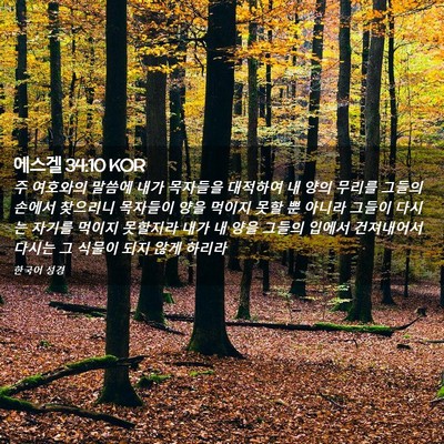 Picture 02 - 에스겔 34:10 KOR - 주 여호와의 말씀에 내가 목자들을 - Bible Verse Picture