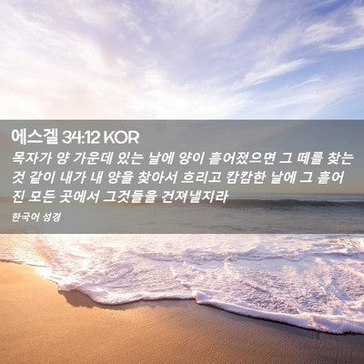 Picture 02 - 에스겔 34:12 KOR - 목자가 양 가운데 있는 날에 양이 - Bible Verse Picture