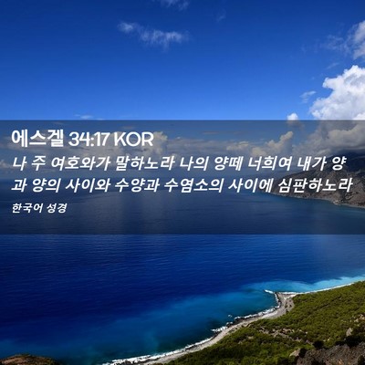 Picture 02 - 에스겔 34:17 KOR - 나 주 여호와가 말하노라 나의 양떼 - Bible Verse Picture