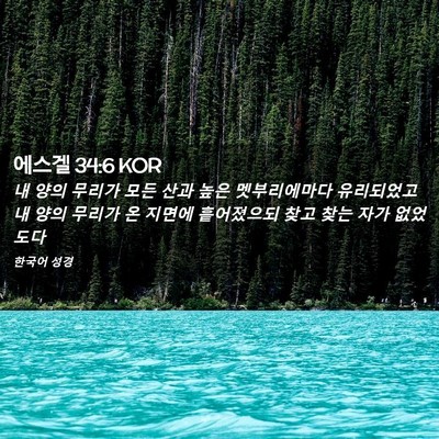 Picture 02 - 에스겔 34:6 KOR - 내 양의 무리가 모든 산과 높은 - Bible Verse Picture