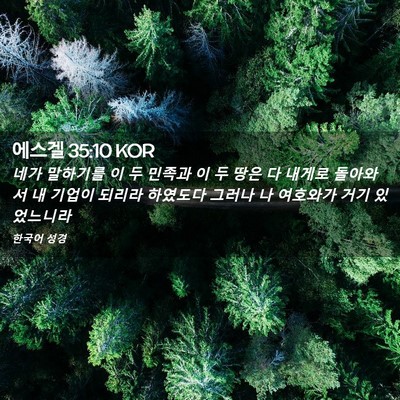 Picture 02 - 에스겔 35:10 KOR - 네가 말하기를 이 두 민족과 이 두 - Bible Verse Picture