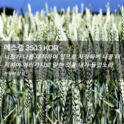 Picture 02 - 에스겔 35:13 KOR - 너희가 나를 대적하여 입으로 - Bible Verse Picture