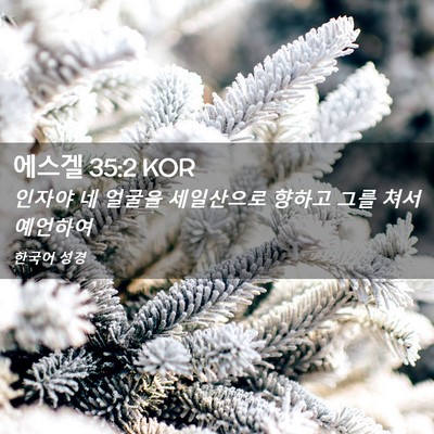 Picture 02 - 에스겔 35:2 KOR - 인자야 네 얼굴을 세일산으로 향하고 - Bible Verse Picture