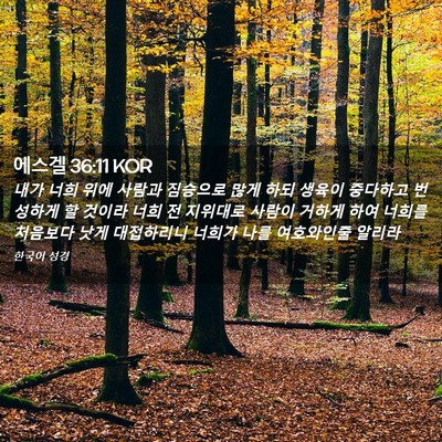 Picture 02 - 에스겔 36:11 KOR - 내가 너희 위에 사람과 짐승으로 - Bible Verse Picture