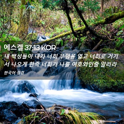 Picture 02 - 에스겔 37:13 KOR - 내 백성들아 내가 너희 무덤을 열고 - Bible Verse Picture