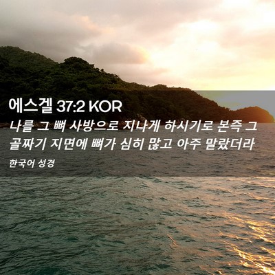 Picture 02 - 에스겔 37:2 KOR - 나를 그 뼈 사방으로 지나게 - Bible Verse Picture