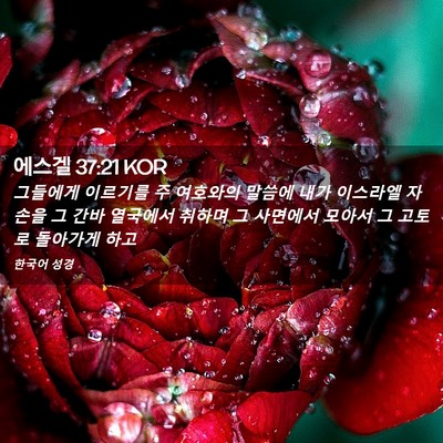Picture 02 - 에스겔 37:21 KOR - 그들에게 이르기를 주 여호와의 - Bible Verse Picture