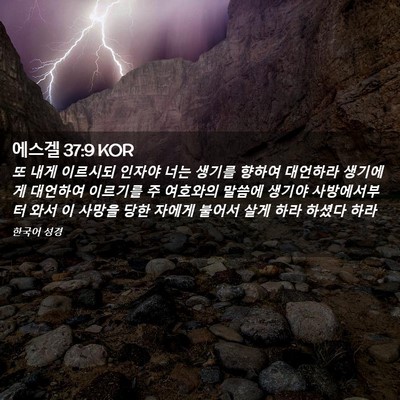 Picture 02 - 에스겔 37:9 KOR - 또 내게 이르시되 인자야 너는 - Bible Verse Picture