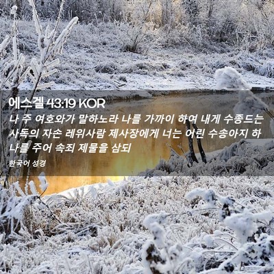 Picture 02 - 에스겔 43:19 KOR - 나 주 여호와가 말하노라 나를 - Bible Verse Picture