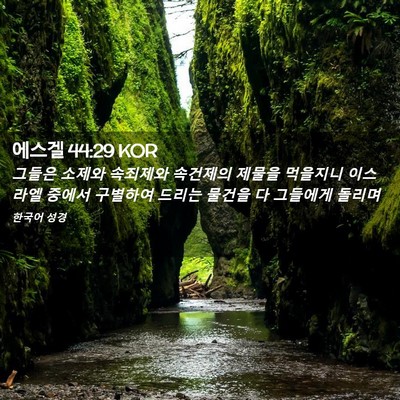 Picture 02 - 에스겔 44:29 KOR - 그들은 소제와 속죄제와 속건제의 - Bible Verse Picture