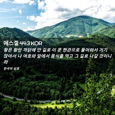 Picture 02 - 에스겔 44:3 KOR - 왕은 왕인 까닭에 안 길로 이 문 - Bible Verse Picture