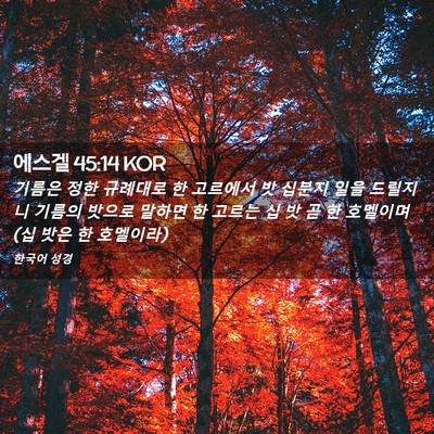 Picture 02 - 에스겔 45:14 KOR - 기름은 정한 규례대로 한 고르에서 - Bible Verse Picture