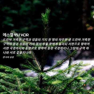 Picture 02 - 에스겔 45:7 KOR - 드린바 거룩한 구역과 성읍의 기지 - Bible Verse Picture