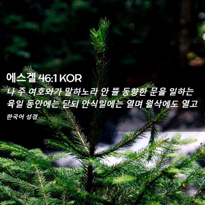 Picture 02 - 에스겔 46:1 KOR - 나 주 여호와가 말하노라 안 뜰 - Bible Verse Picture