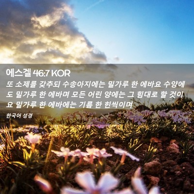 Picture 02 - 에스겔 46:7 KOR - 또 소제를 갖추되 수송아지에는 - Bible Verse Picture