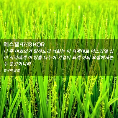 Picture 02 - 에스겔 47:13 KOR - 나 주 여호와가 말하노라 너희는 이 - Bible Verse Picture