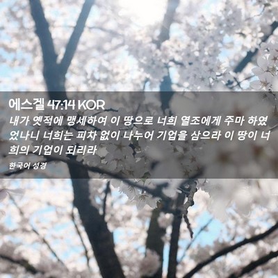 Picture 02 - 에스겔 47:14 KOR - 내가 옛적에 맹세하여 이 땅으로 - Bible Verse Picture