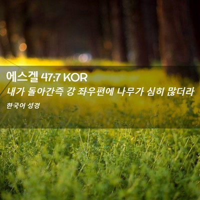 Picture 02 - 에스겔 47:7 KOR - 내가 돌아간즉 강 좌우편에 나무가 - Bible Verse Picture